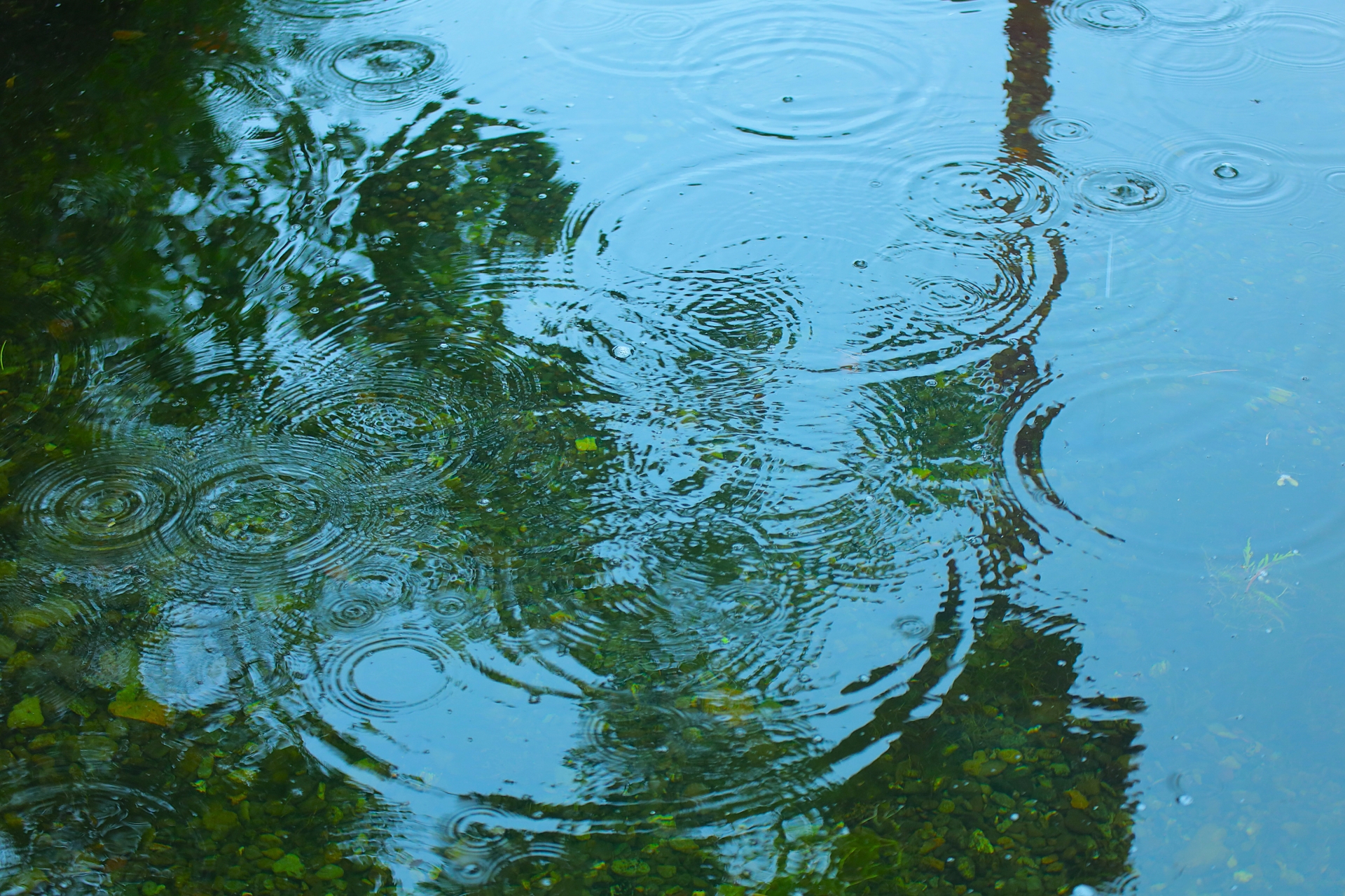 Raindrops falling into a shallow puddle, creating gentle ripples that reflect the quiet, atmospheric