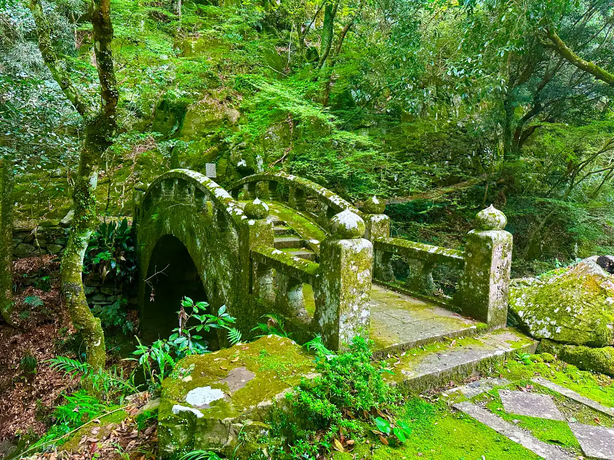 Moss-covered ancient stone bridge in a quiet forest in Nagasaki, evoking a timeless and sacred atmos