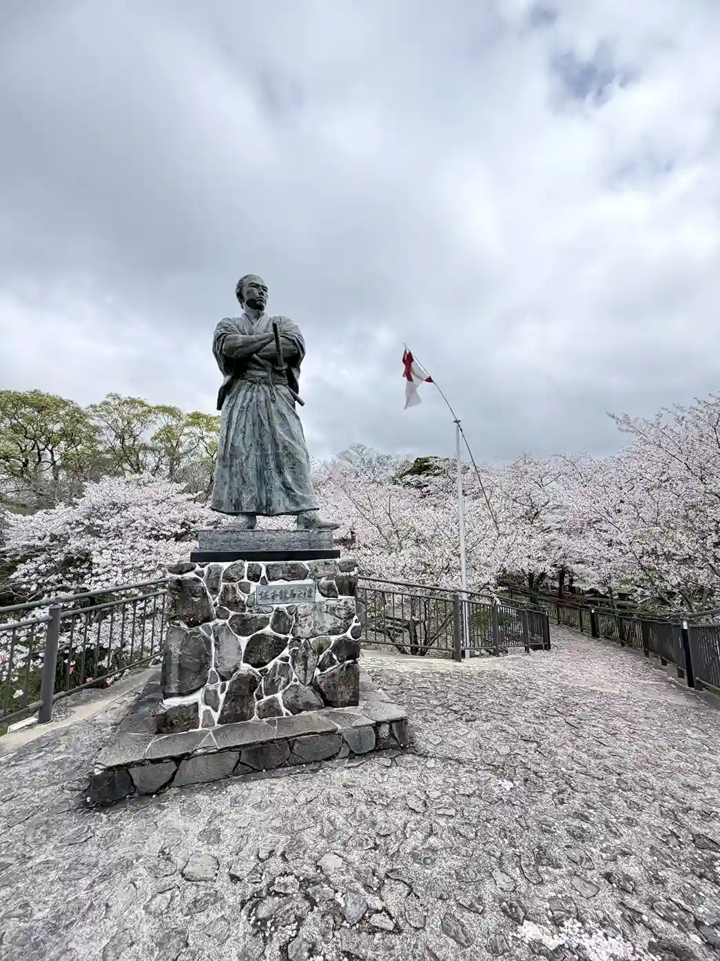 Sakamoto Ryoma statue with cherry blossoms in full bloom