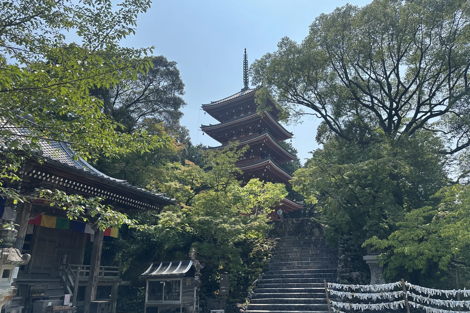 Chikurinji Temple during a private Kochi shore excursion